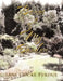 Bones of My Garden by Jane Cocke Perdue