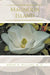 Magnolia Island by Asbury H. Williams M. D.