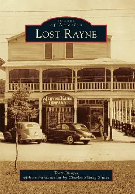 Lost Rayne by Tony Olinger