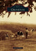 Groveton by Charlotte Brown
