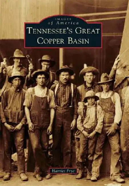 Tennessee's Great Copper Basin by Harriet Frye