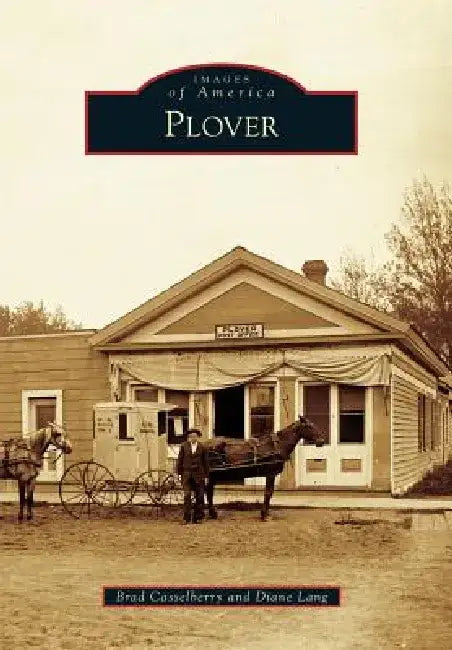 Plover by Bradley Lewis Casselberry
