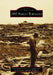 1957 Fargo Tornado by Trista Raezer-Stursa