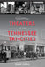 Historic Theaters of the Tennessee Tri-Cities by Adam Selzer