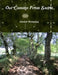 Our Camino From Sarria by Edward Wittkofski