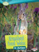 Grassland Food Webs in Action by Paul Fleisher