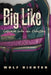 Big Like: Cascade into an Odyssey by Wolf Richter