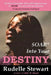 SOAR Into Your Destiny by Rudelle W. Stewart