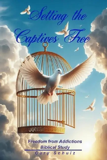 Setting the Captives Free by Gary Schulz