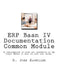 ERP Baan IV Documentation Common Module: A conglomeration of notes and information on the Common Module to help you with your system. by G. John Sagmiller