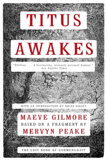 Titus Awakes: The Lost Book of Gormenghast by Maeve Gilmore, Mervyn Peake, Brian Sibley