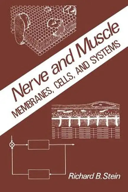 Nerve and Muscle: Membranes, Cells, and Systems by R. Stein