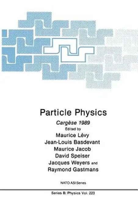 Particle Physics: Cargèse 1989 by Maurice Lévy