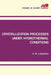 Crystallization Processes Under Hydrothermal Conditions by A. N. Lobachev