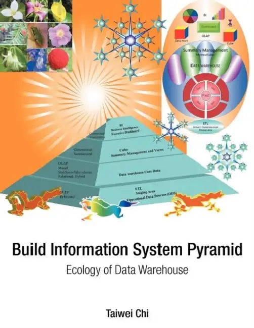 Build Information System Pyramid: Ecology of Data Warehouse by Taiwei Chi