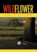 Wildflower by April R. Schreiber