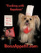 BonzAppetit.com: "Cooking with Napoleon" by Gemma Maguire Koder
