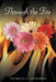 Through the Fire by Patricia A. Saunders