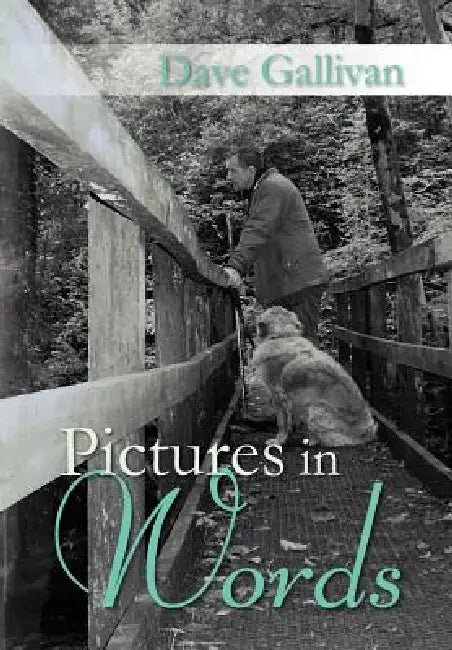 Pictures in Words by Dave Gallivan