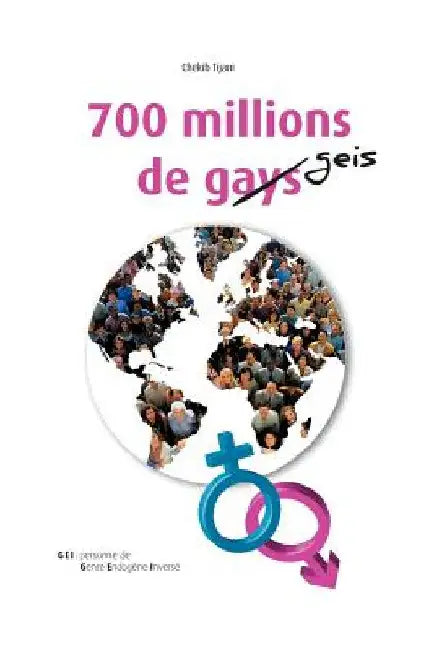 700 Millions de Gays by Tijani, Chekib
