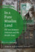 In a Pure Muslim Land: Shi'ism Between Pakistan and the Middle East by Simon Wolfgang Fuchs
