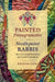Painted Pomegranates and Needlepoint Rabbis: How Jews Craft Resilience and Create Community by Jodi Eichler-Levine