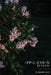 Appalachian Review - Summer 2023: Volume 51, Issue 3 by Jason Howard