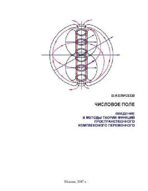 Numeric Field.: Introduction to the Methods of the Theory of Functions of Complex Spatial Variable by Eliseev, Vladimir