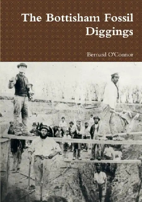 The Bottisham Fossil Diggings by Bernard O'Connor