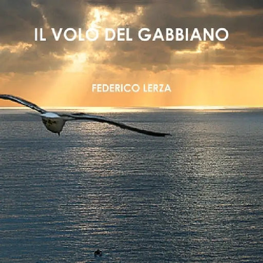 Il Volo del Gabbiano by Federico Lerza