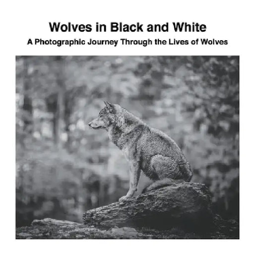 Wolves in Black and White: A Photographic Journey Through the Lives of Wolves by David Sechovicz