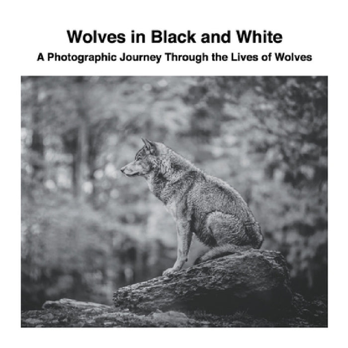 Wolves in Black and White: A Photographic Journey Through the Lives of Wolves by David Sechovicz