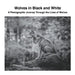 Wolves in Black and White: A Photographic Journey Through the Lives of Wolves by David Sechovicz