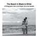 The Beach in Black & White: A Photographic Ode to the Simple Life at the Seaside by David Sechovicz