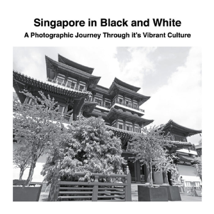 Singapore in Black and White: A Photographic Journey Through it's Vibrant Culture by David Sechovicz