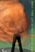 Holy Fire. Art of the Digital Age by Domenico Quaranta, Yves Bernard