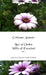 Luci ed Ombre - Idillio di Emozioni vol. 1 by Cristiane Arancio