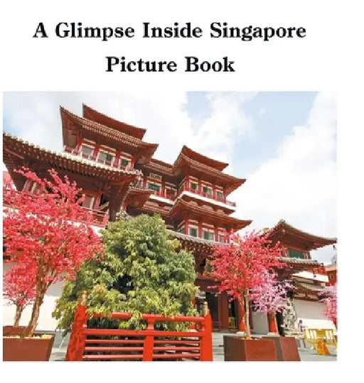A Glimpse Inside Singapore Picture Book by David Sechovicz