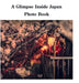 A Glimpse Inside Japan Photo Book by Sechovicz