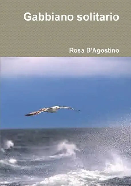 Gabbiano solitario by Rosa D'Agostino