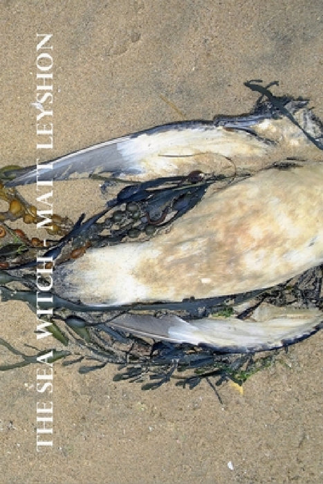 The Sea Witch by Matt Leyshon