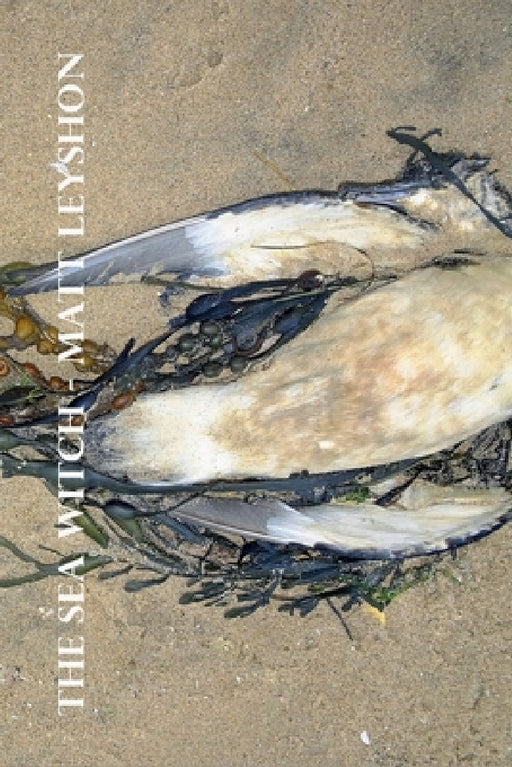 The Sea Witch by Matt Leyshon