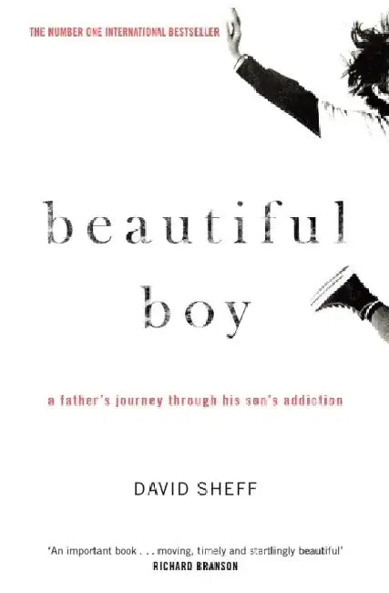 Beautiful Boy by David Sheff