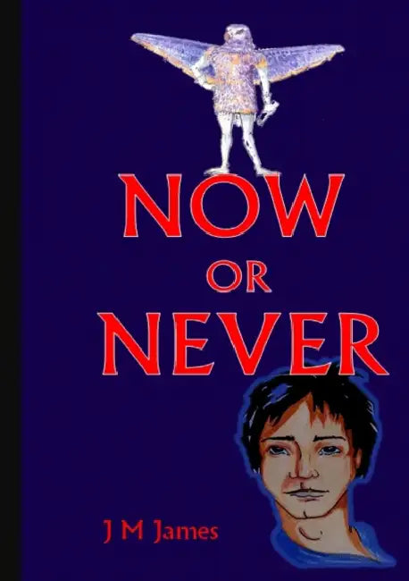 Now or Never by Judi M. James