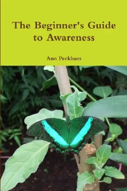 The Beginner's Guide to Awareness by Ann Peckham