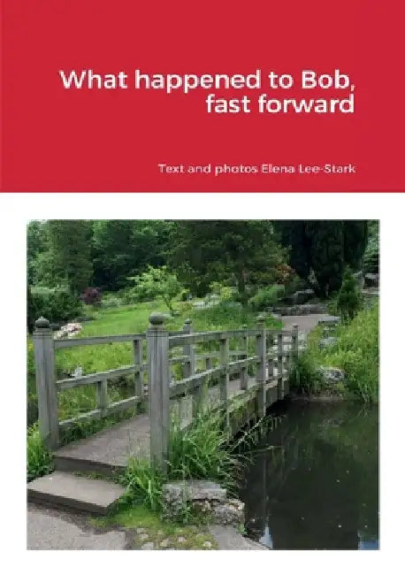 What happened to Bob, fast forward by Elena Lee-Stark