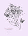 Adult Coloring Book: Classic Patterns by Beverly Jones