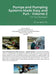 Pumps and Pumping Systems Made Easy and Fun - Volume 2: For The Perplexed by Lev Nelik