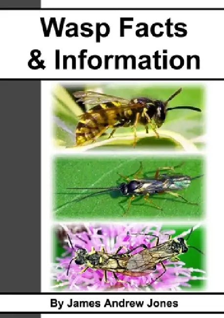 Wasp Facts & Information by James Andrew Jones