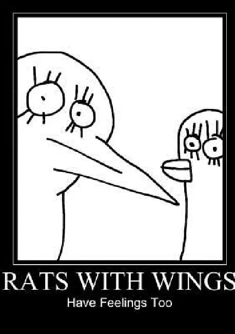Rats With Wings Have Feelings Too by Jamie Doughty